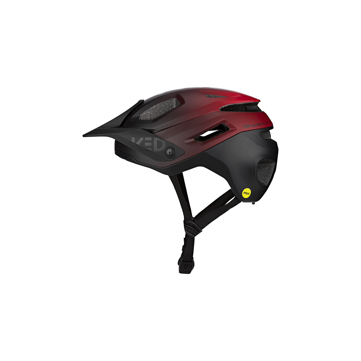 KED Helm Pector